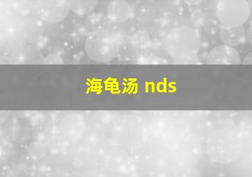 海龟汤 nds